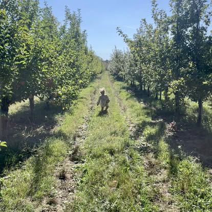 Michaud Orchard